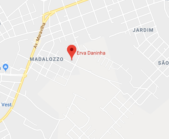 Imagem google maps do endereço da empresa